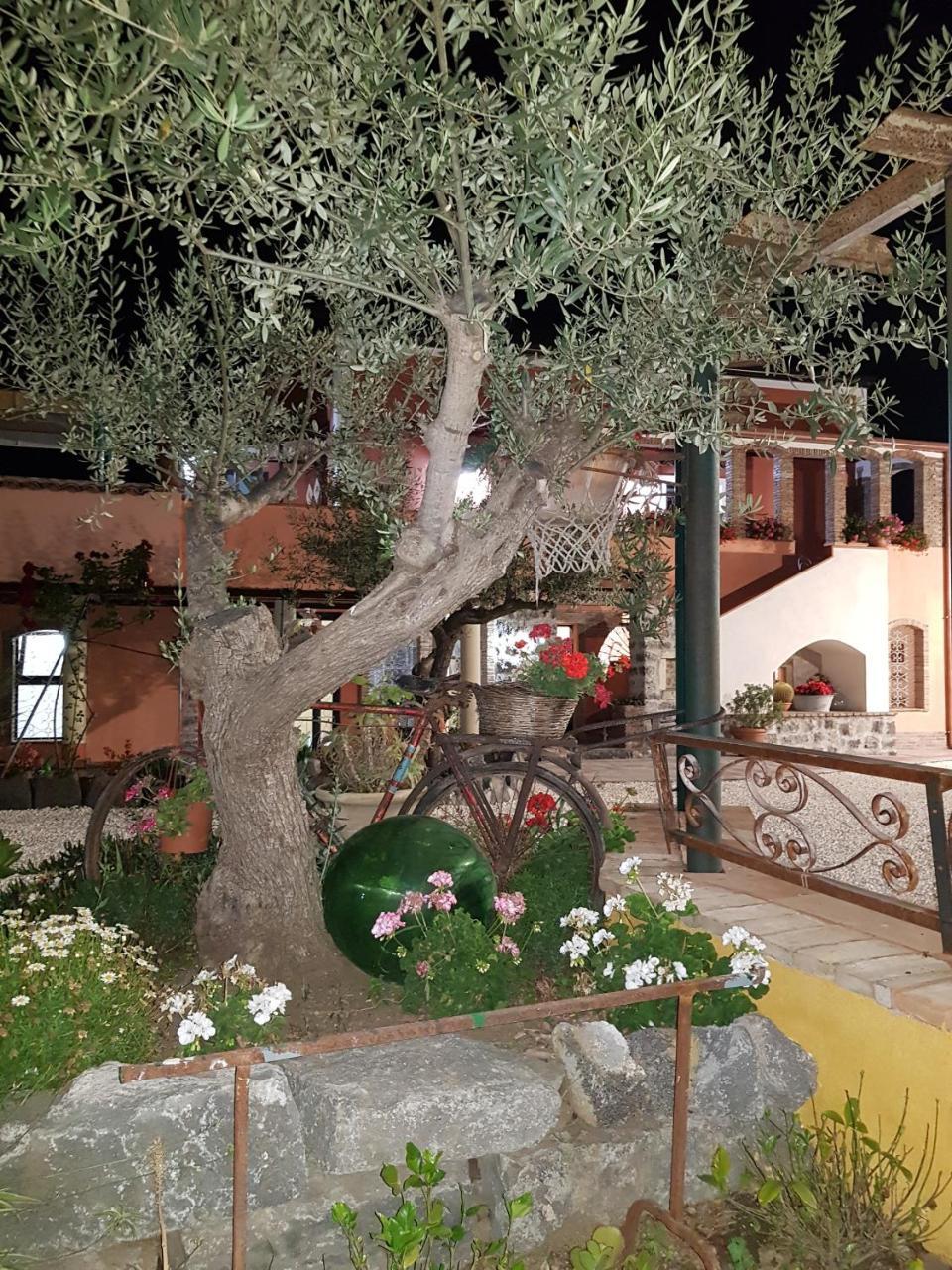 Вілла Original Sicily House Санта-Венеріна Екстер'єр фото